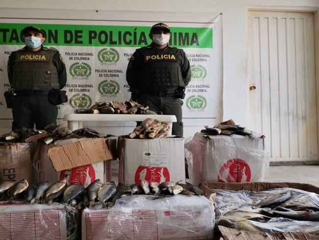 Incautan pescado en mal estado que sería comercializado en zona indígena en Córdoba. Foto: prensa Policía.