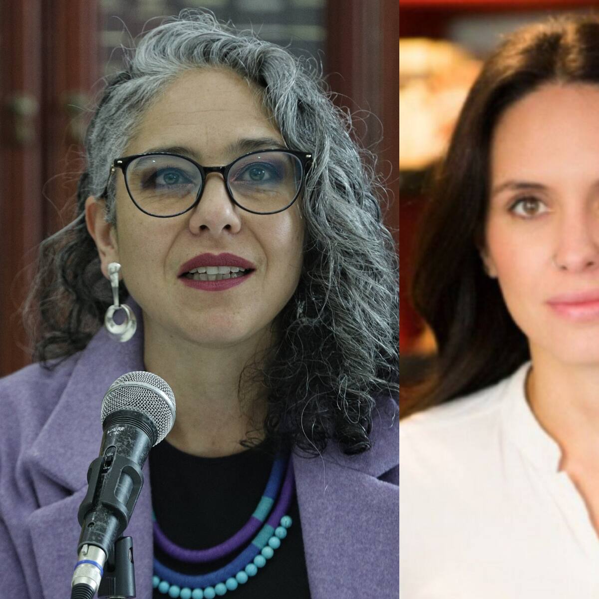 Consejo de Estado admite demanda que busca “muerte política” de María José y María del Mar Pizarro