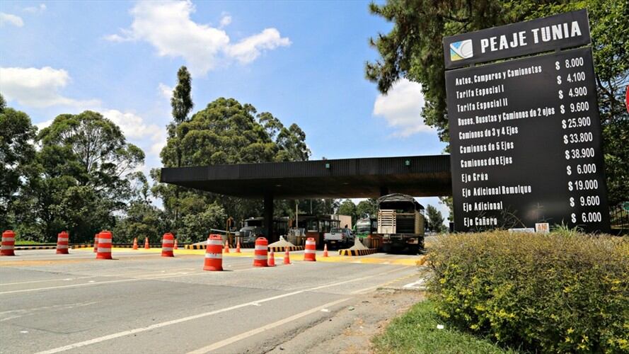 Según las autoridades, en los últimos días en ese sector fueron incautadas 3,5 toneladas de marihuana . Foto: Cortesía Nuevo Cauca