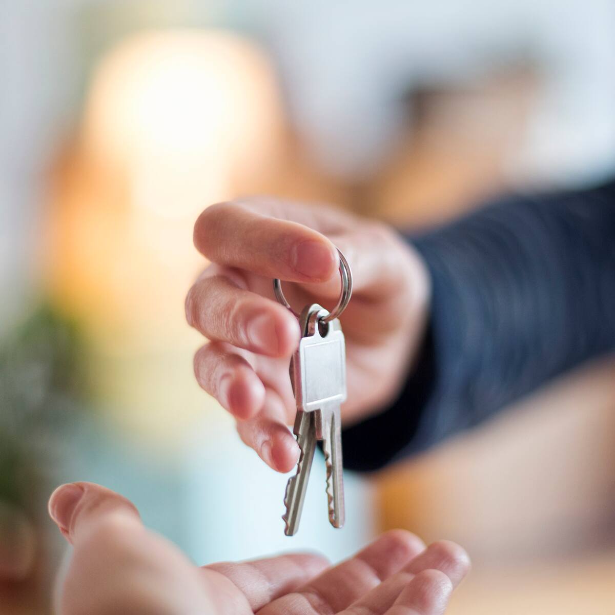 Primer proyecto de vivienda popular se construirá en un predio de Bogotá que era de la SAE