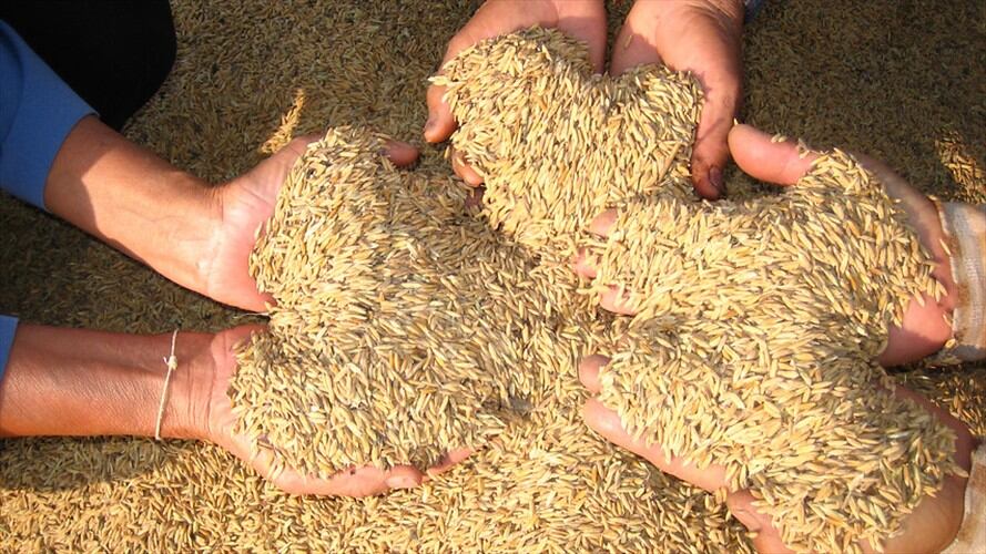 e realizará seguimiento y vigilancia a precios de 12 alimentos de la canasta familiar. Foto: Colprensa