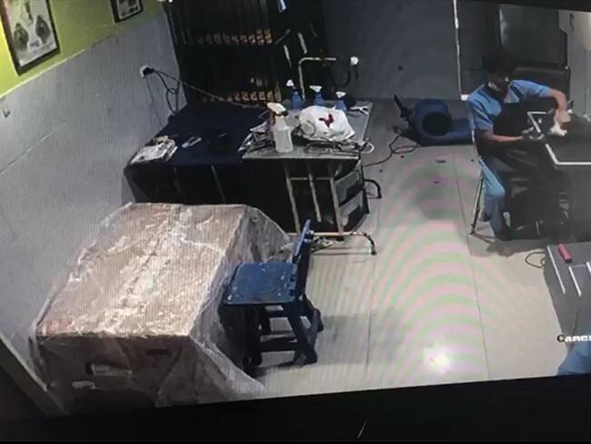 Inician denuncias penales ante la Fiscalía por maltrato animal en Barranquilla