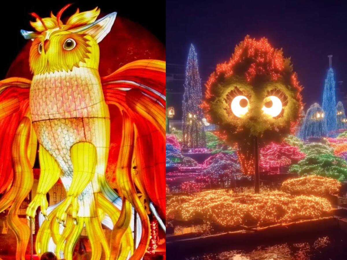 Inició el Festival Brilla 2025 en Bogotá: ¿Cómo asistir al alumbrado? Fecha, hora y costo de entrada