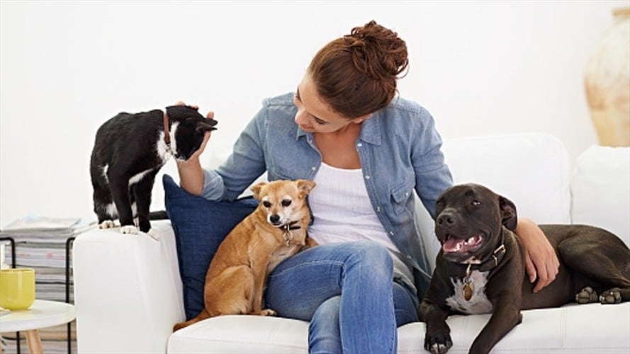 Imagen de referencia. Foto: Getty Images