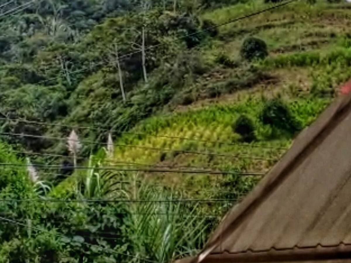 Combates en Argelia, Cauca tienen en riesgo a más de 1500 personas