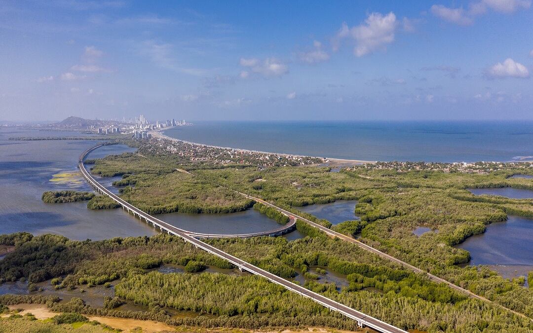 Gran Manglar