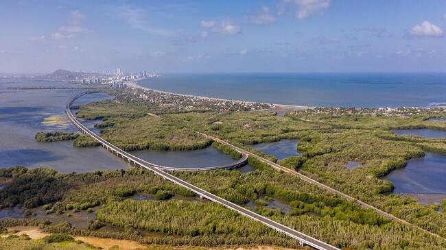 Gran Manglar