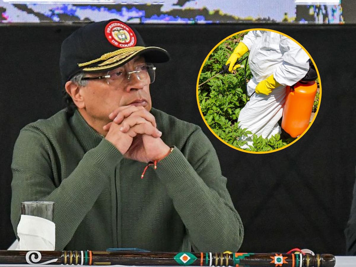 Petro aseguró que no ordenó retomar la fumigación de cultivos con glifosato