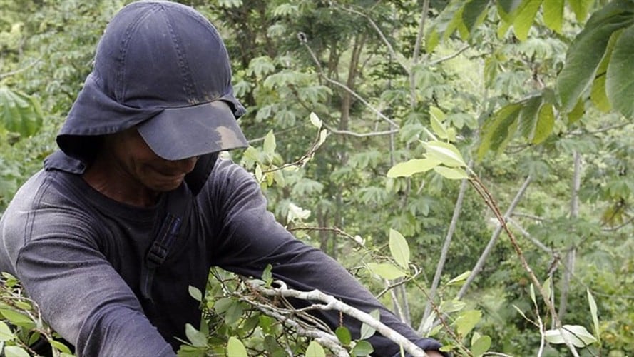 Imagen de referencia. Foto: Colprensa