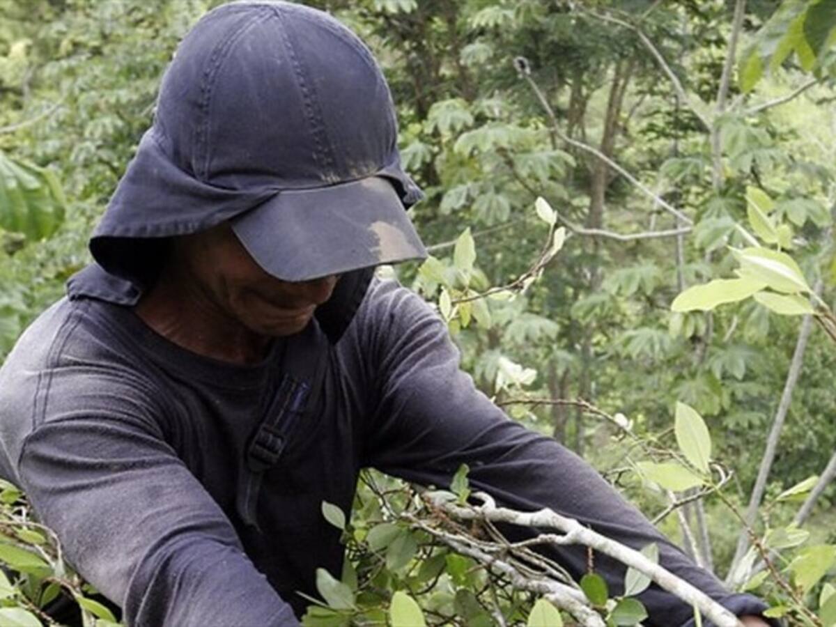 Preocupación por reclutamiento de venezolanos por parte de crimen organizado