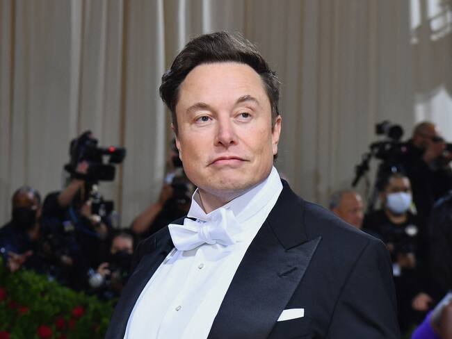 Elon Musk. (Photo by ANGELA WEISS/AFP via Getty Images)