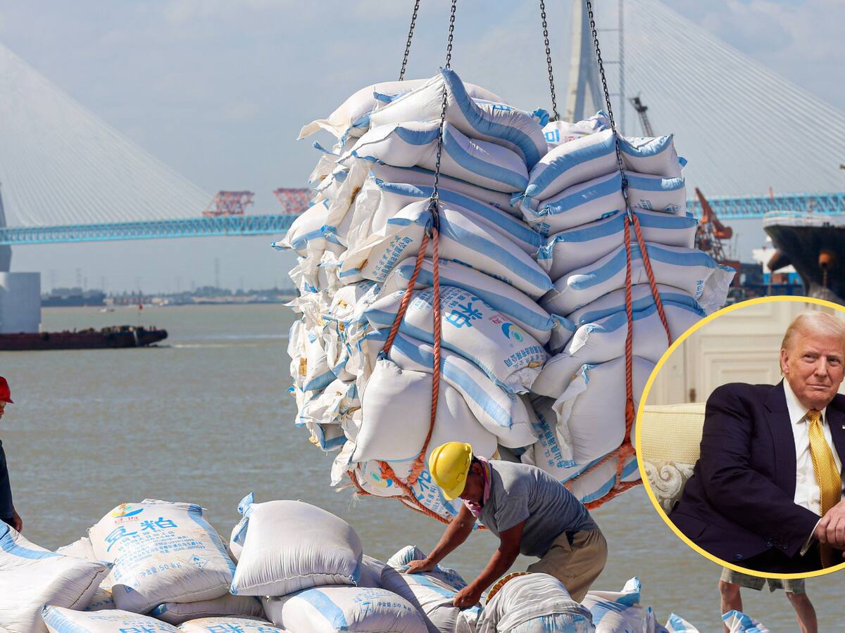 Trump pidió a China que “cuadruplique rápidamente” la compra de soja a EE.UU.