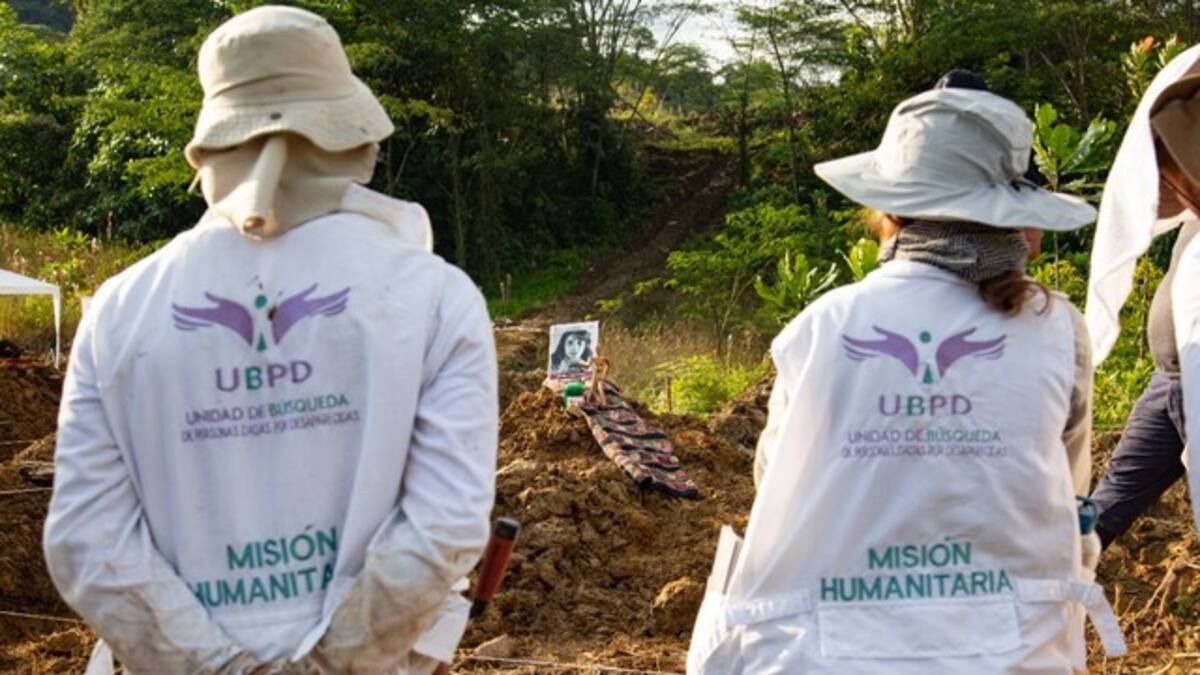Unidad de Búsqueda halló con vida durante el 2024 a 141 personas que estaban desaparecidas
