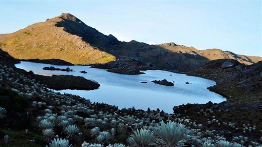 Temporada seca genera alerta por incendios forestales en el páramo de Santurbán. Foto: Colprensa