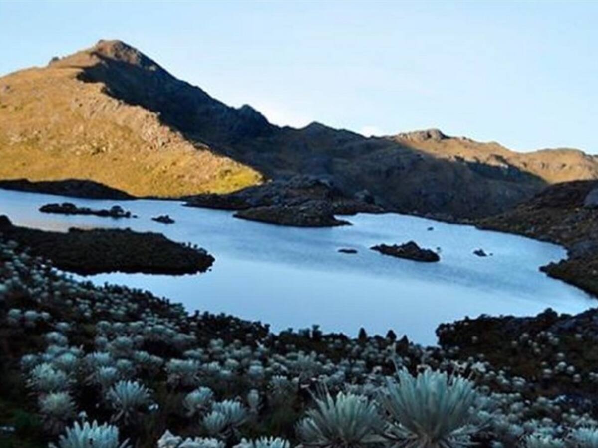 Alerta por incendios forestales en el páramo de Santurbán