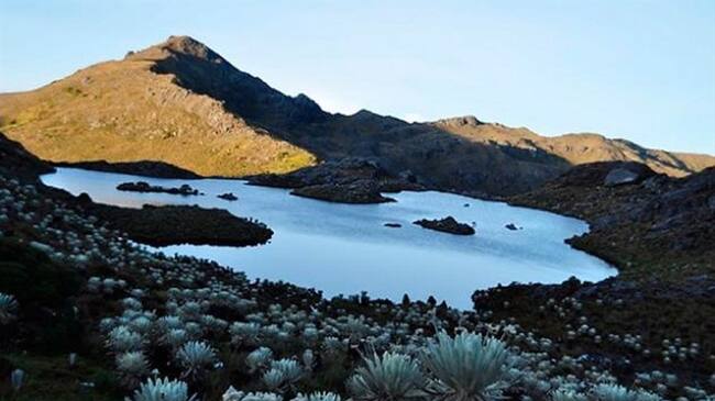 Temporada seca genera alerta por incendios forestales en el páramo de Santurbán. Foto: Colprensa