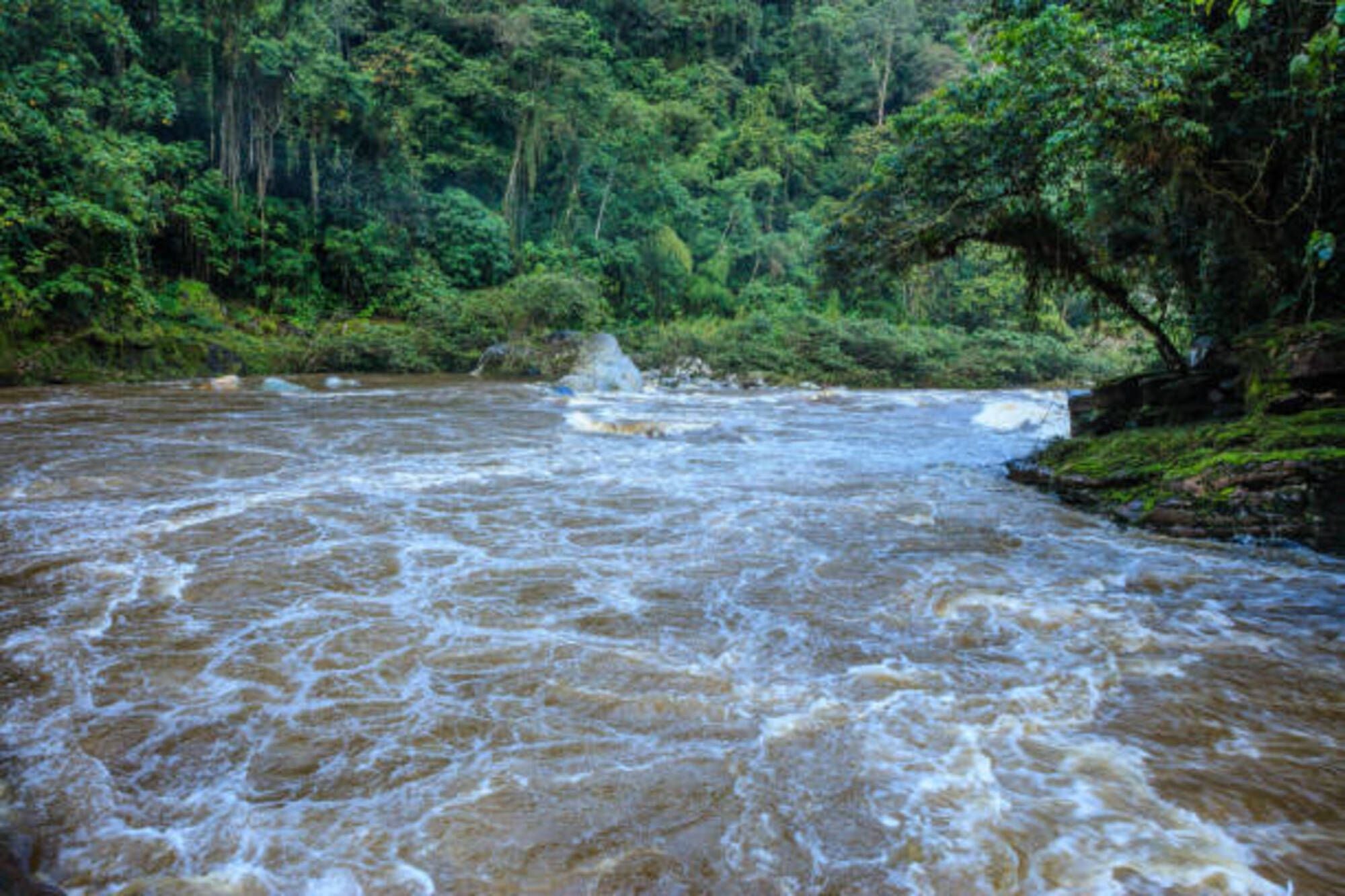 Imagen de referencia del Río Magdalena. Foto: Getty Images