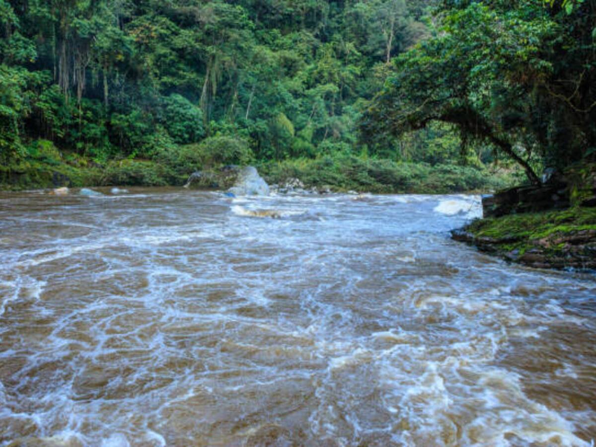 Declarada la alerta naranja en Algarrobo por aumento del río Magdalena