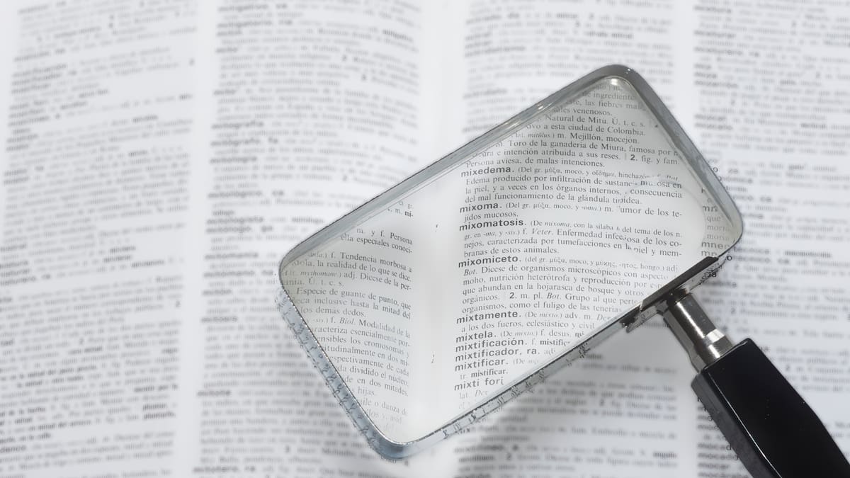 ¿Concejo o consejo? ¿Cuál es la forma correcta para usar cada una y qué significa?