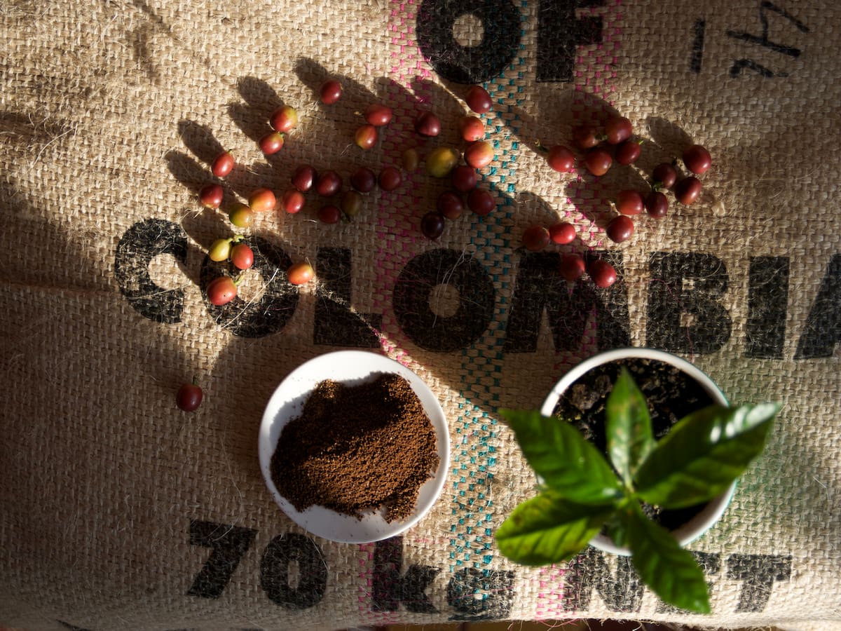 Asamblea Cafetera, ¿pero sin la Federación Nacional de Cafeteros?