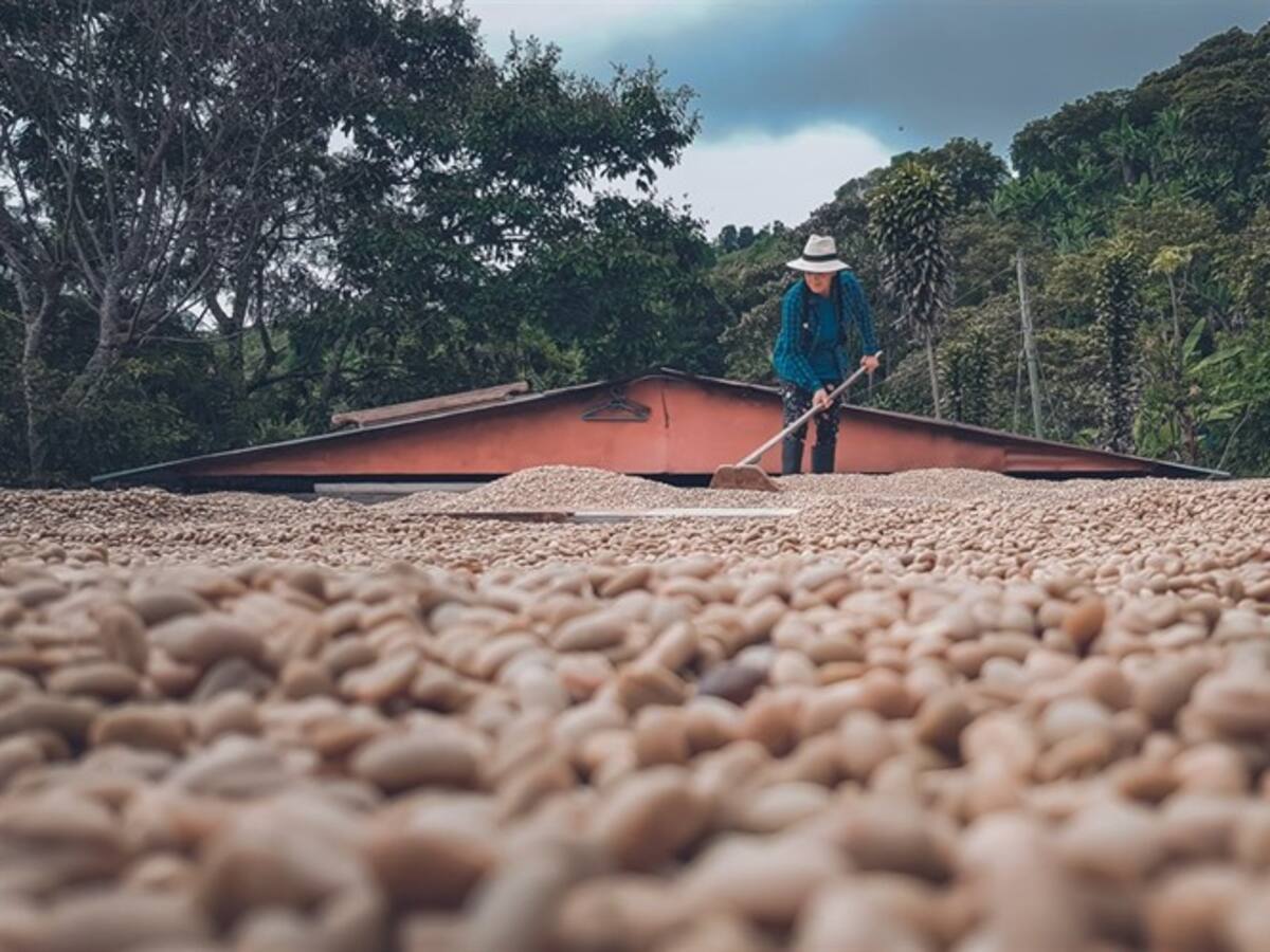 Nuevas líneas de crédito para productores agropecuarios