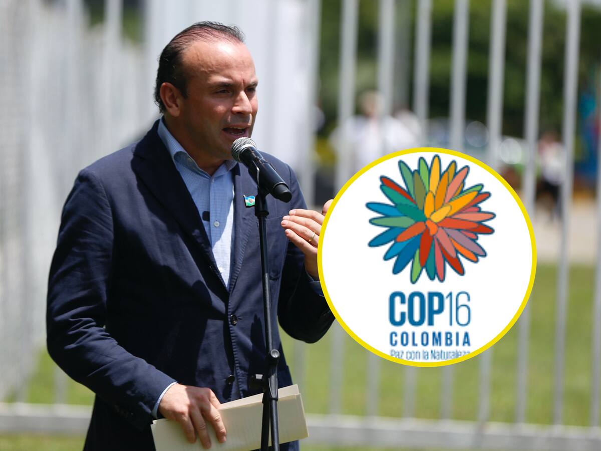 “El mundo está mirando a Cali de forma positiva”: alcalde Alejandro Eder sobre la COP16