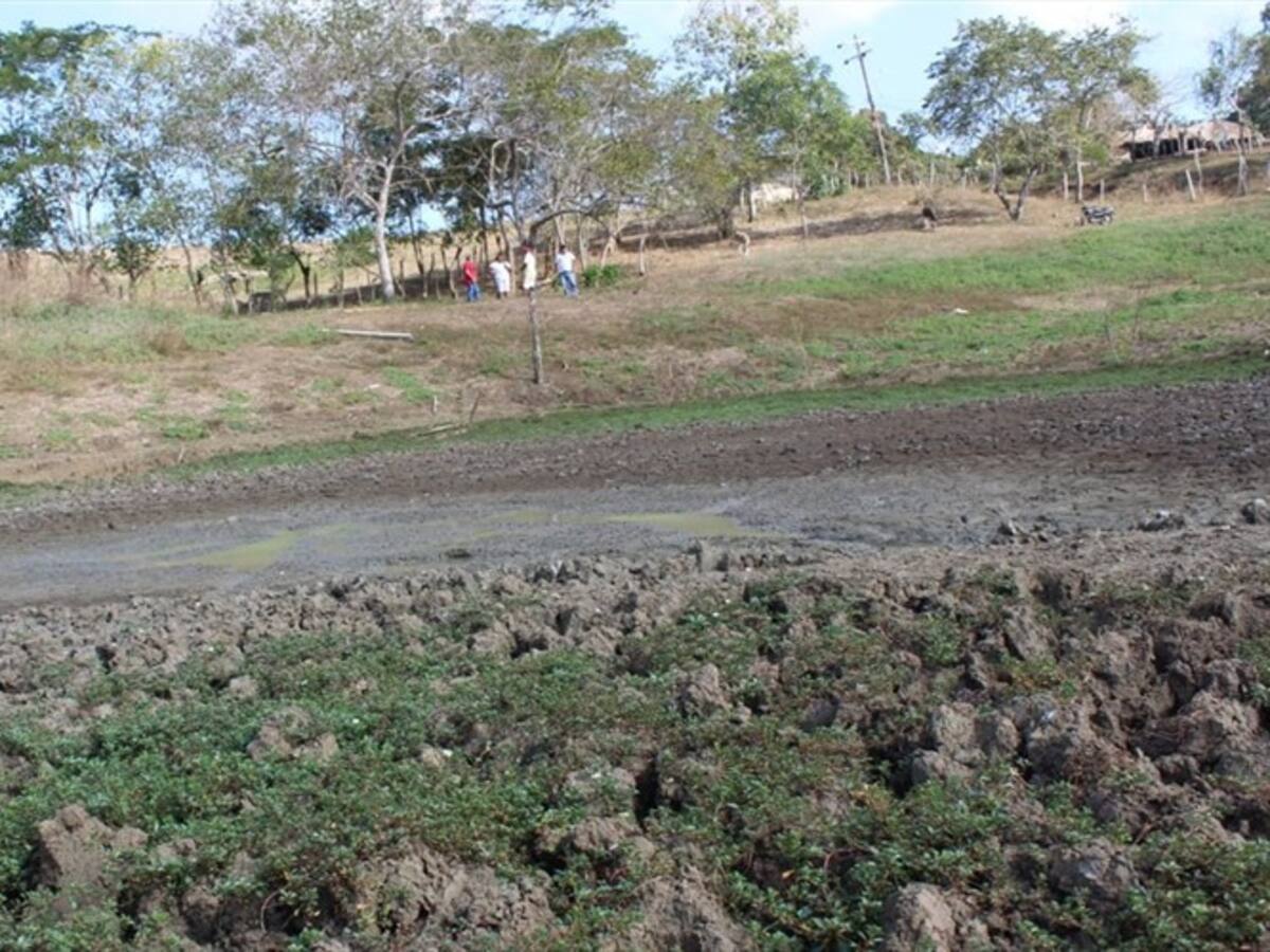 Covid-19 y sequía: las dos emergencias que enfrenta Córdoba