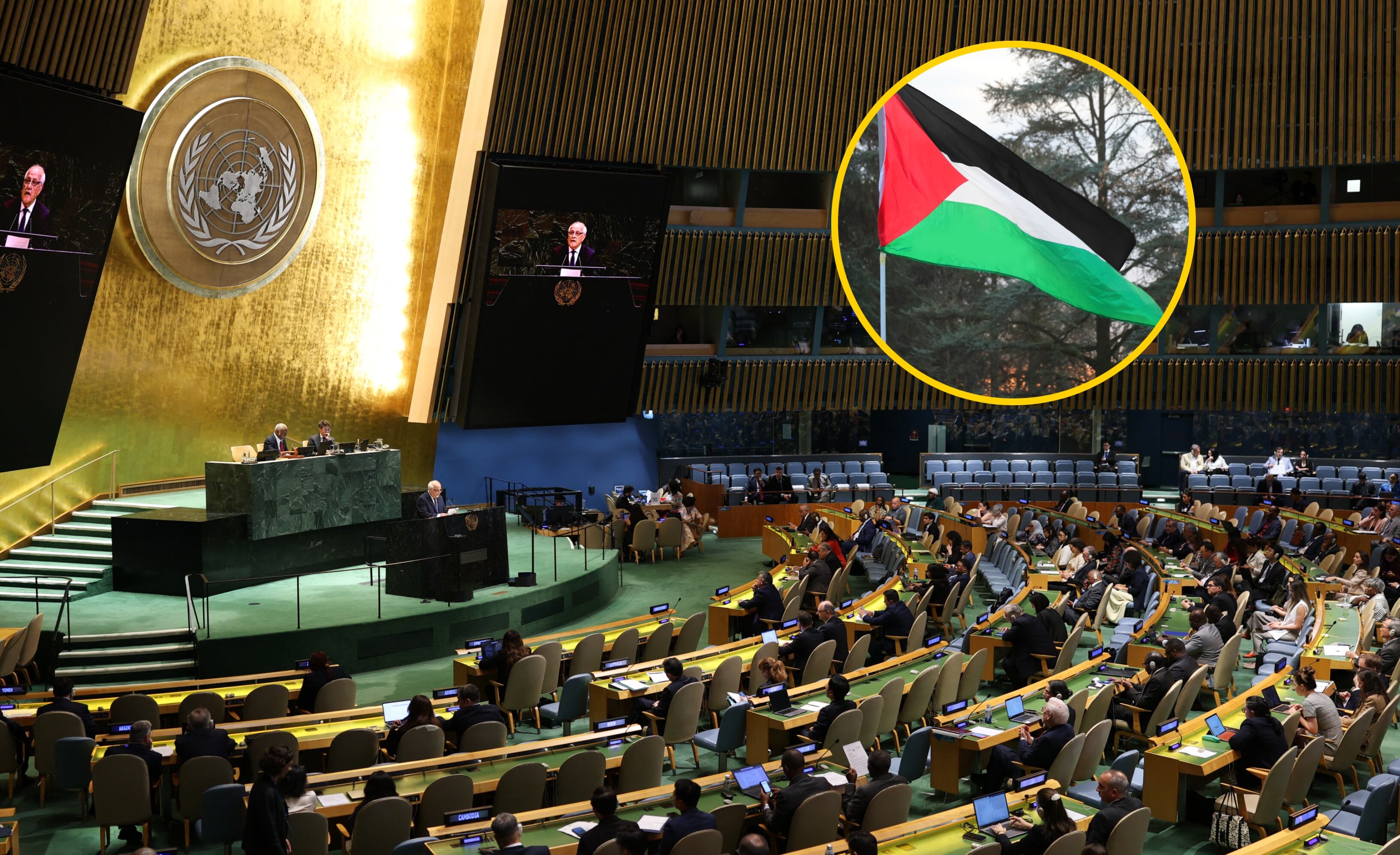 Asamblea General de la ONU y bandera de Palestina. Foto: CHARLY TRIBALLEAU/ ChiccoDodiFC vía Getty Images. 