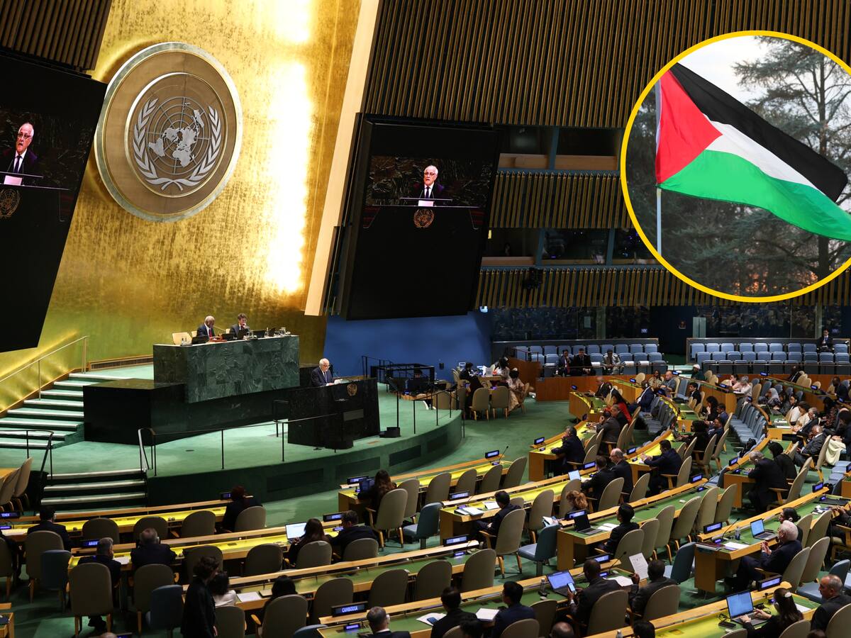 Asamblea General de la ONU aprobó la resolución de apoyo a Palestina