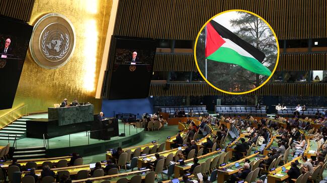Asamblea General de la ONU y bandera de Palestina. Foto: CHARLY TRIBALLEAU/ ChiccoDodiFC vía Getty Images.