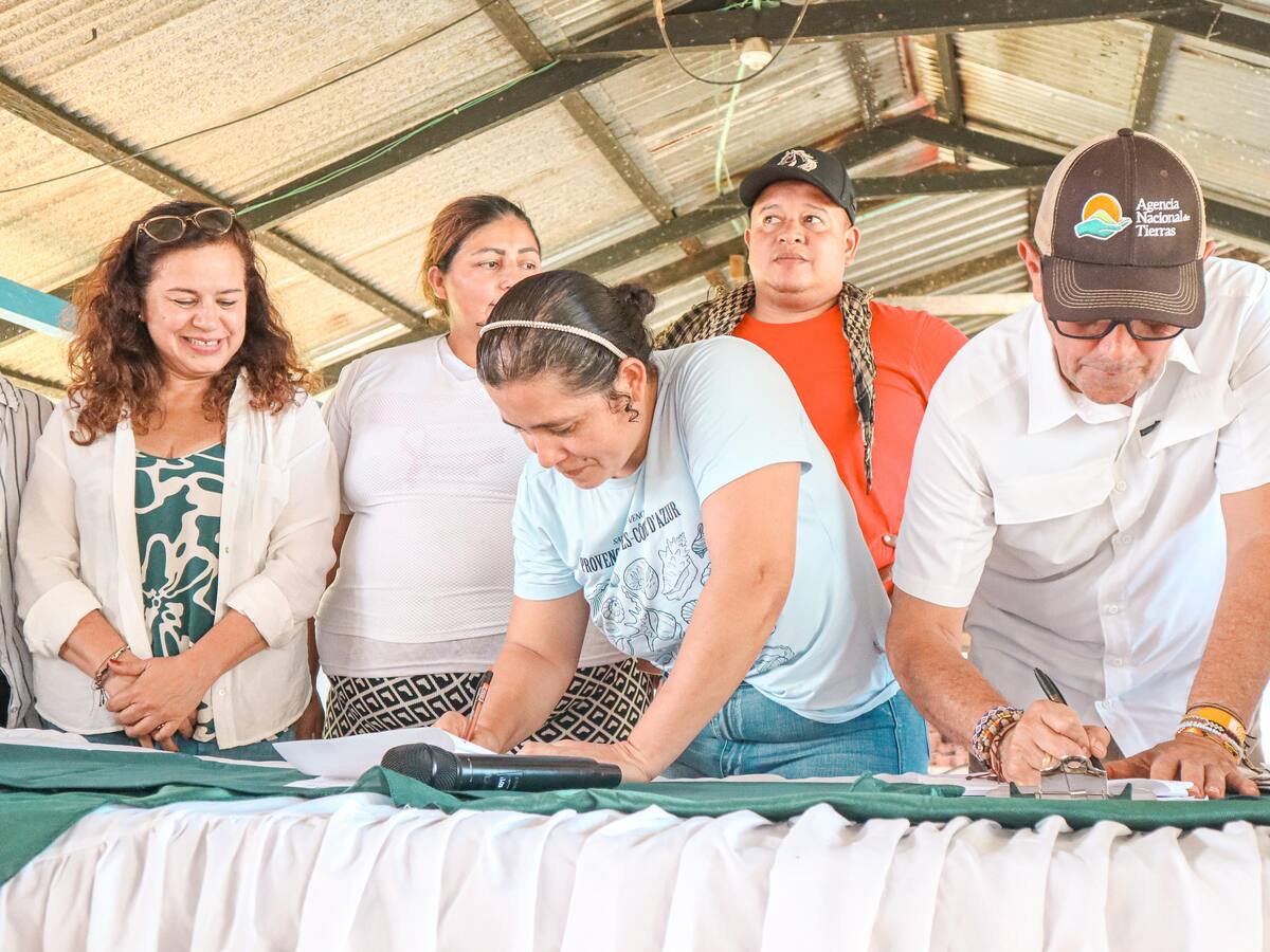 Reforma agraria de Colombia fue elogiada por varios países durante el Consejo de Seguridad de la ONU