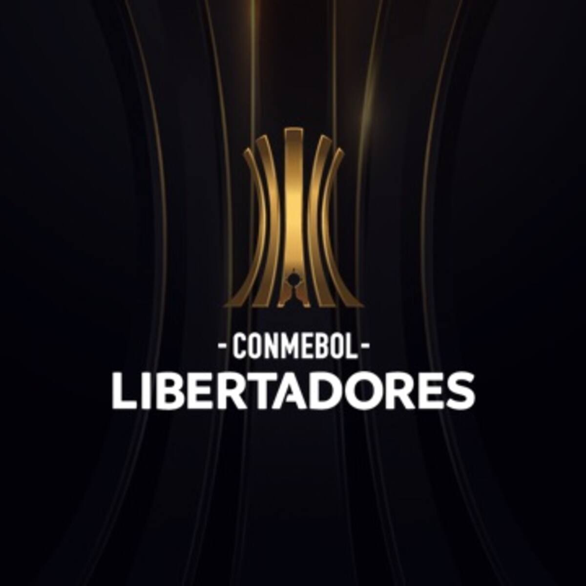 ¡Confirmado! Estos son los equipos colombianos que van a la Copa Libertadores 2022