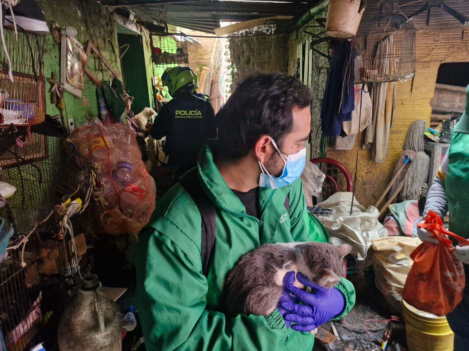 Rescatan 30 animales en presunto abandono en la localidad de Santa Fe. Foto: suministrada.