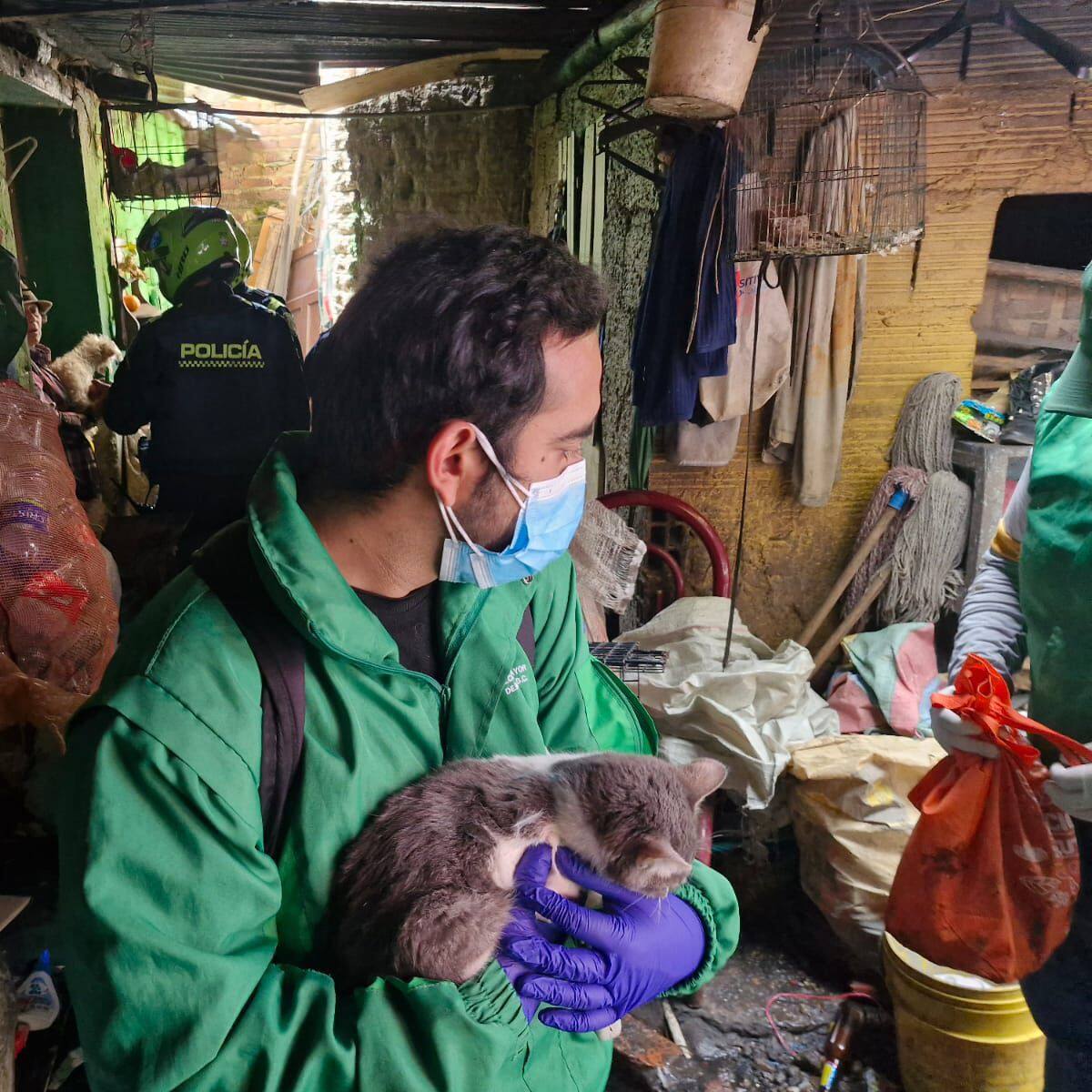 Rescatan 30 animales en presunto abandono en la localidad de Santa Fe