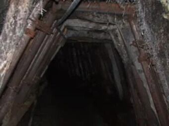 Foto: Archivo (Referencia).