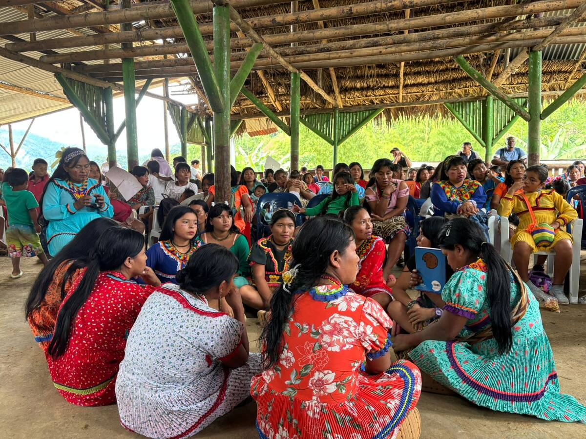 Mujeres indígenas de Pueblo Rico, Risaralda, se organizan para defender sus derechos