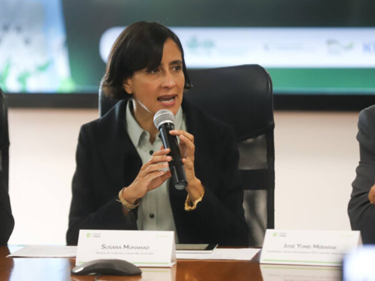 MinAmbiente publicó borrador de resolución para prohibir plásticos de un solo uso