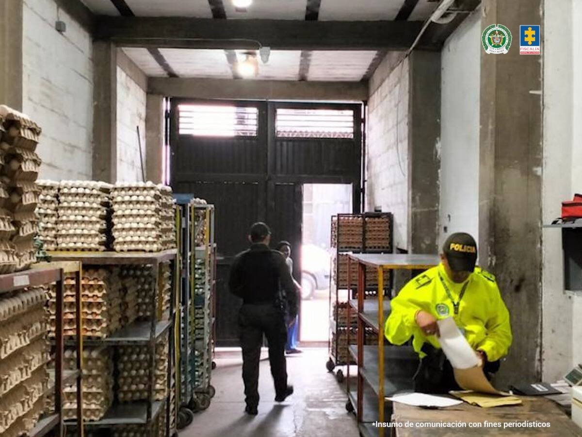 Judicializaron a mujeres que lavarían dinero de supuesto cartel de la venta de huevo en Buenaventura