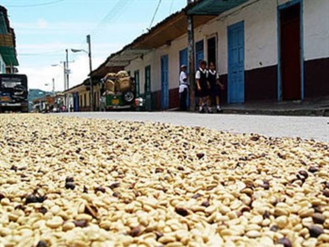 Foto: Agencia de Noticias Unal