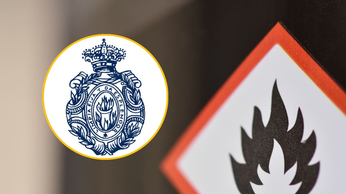 ¿Por qué se usa “inflamable” y no “flamable” para decir que algo arde con facilidad? RAE explicó