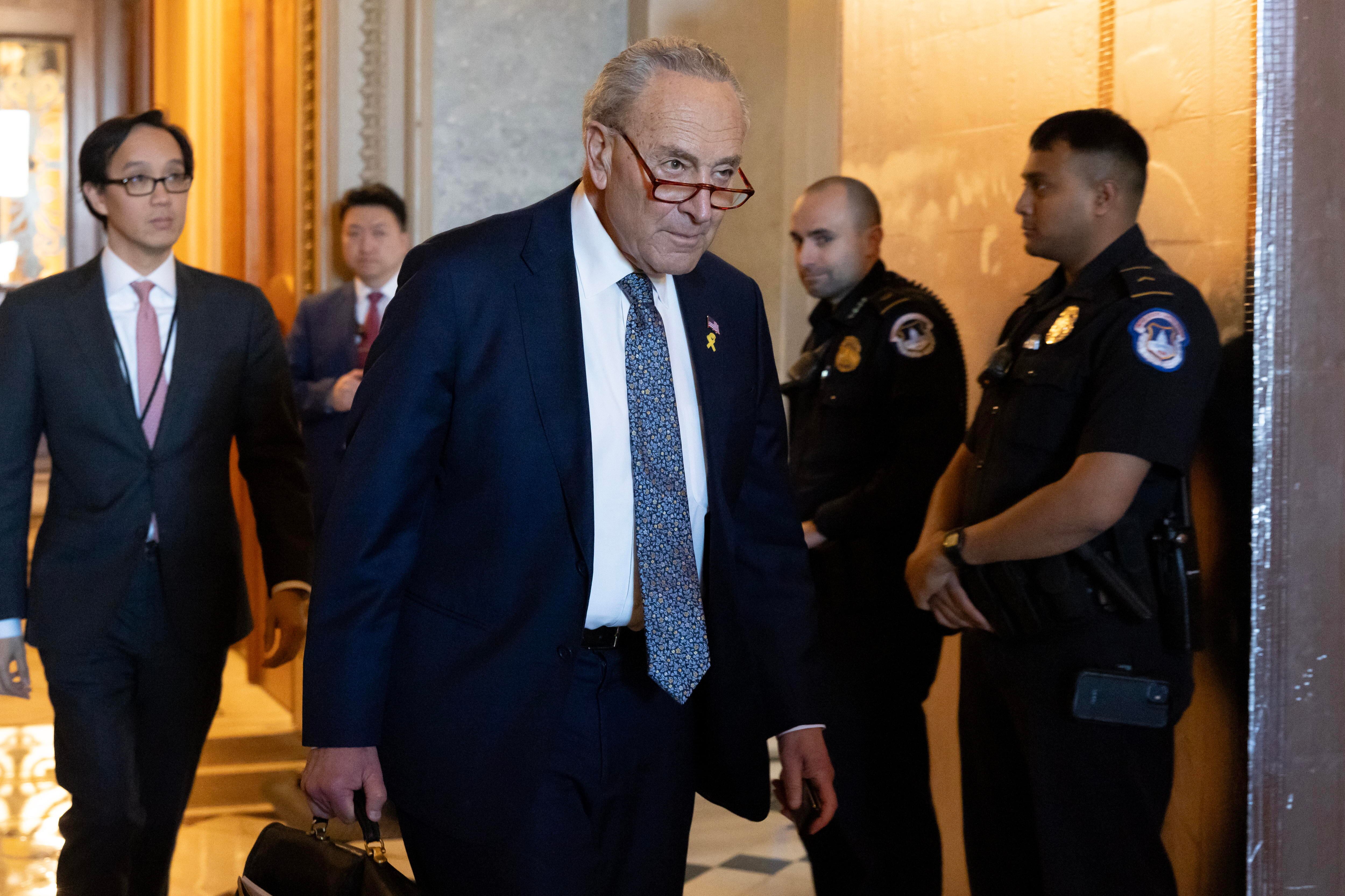 Chuck Schumer. Foto: EFE/EPA/MICHAEL REYNOLDS.