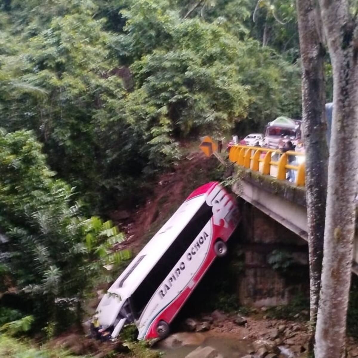 Los hemos atendido: Rápido Ochoa responde a hermana de víctima del accidente en vía Bogotá-Medellín
