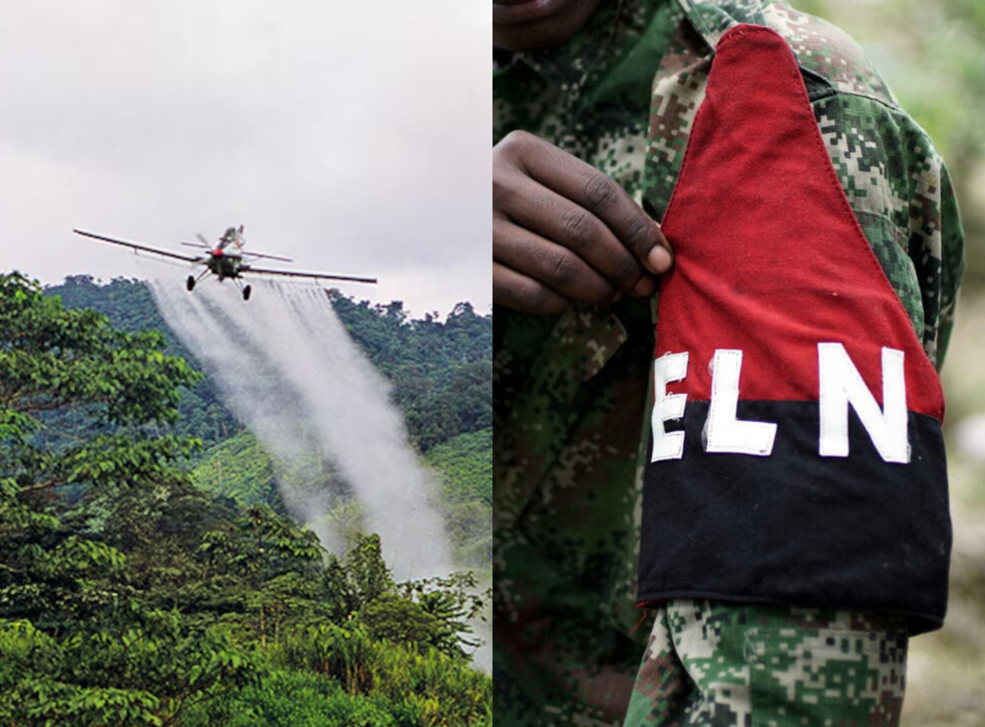 ¿Qué opina de los dos giros de 180 grados: Regreso del glifosato y ELN pidiendo pista para la paz?