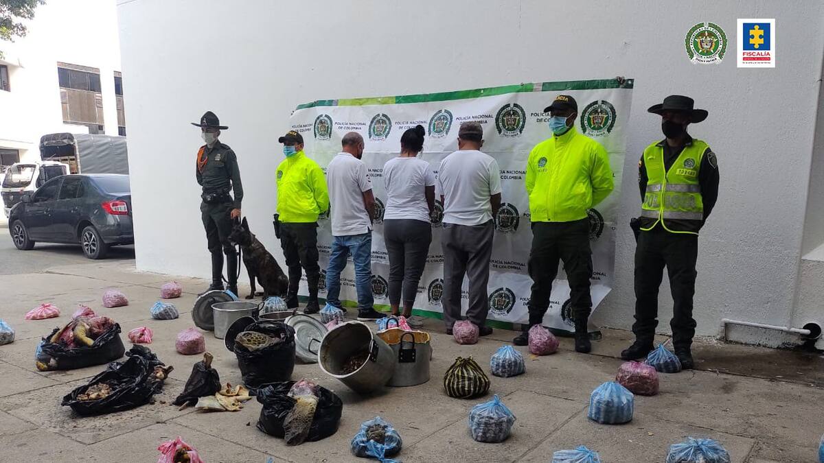 Capturan a traficantes de tortugas marinas