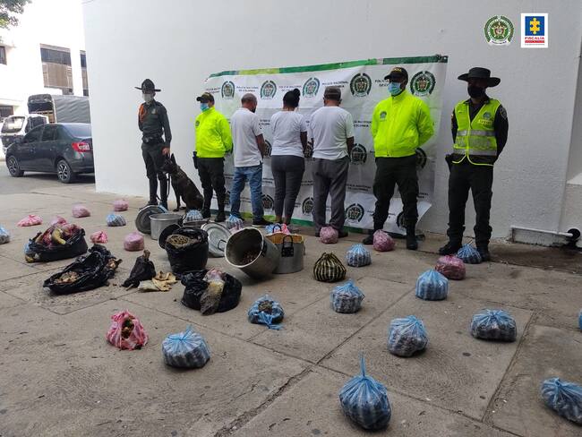 Capturan a traficantes de tortugas marinas. Foto: Policía Nacional
