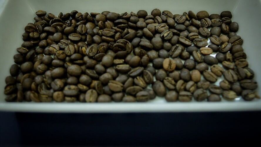 Cafeteros esperan cerrar 2019 en producción con cifras que superen lo logrado en el 2018. Foto: Colprensa