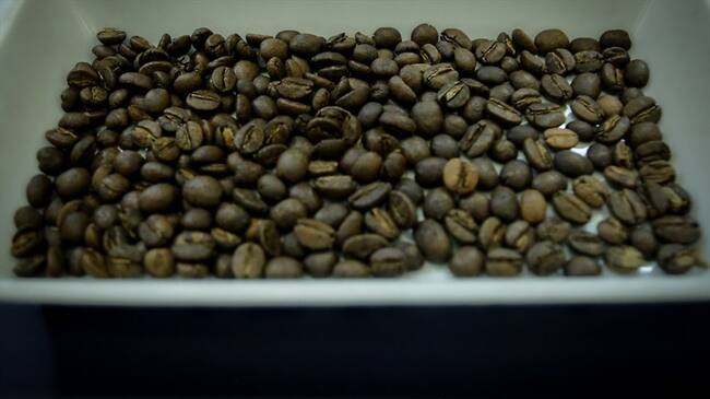 Cafeteros esperan cerrar 2019 en producción con cifras que superen lo logrado en el 2018. Foto: Colprensa