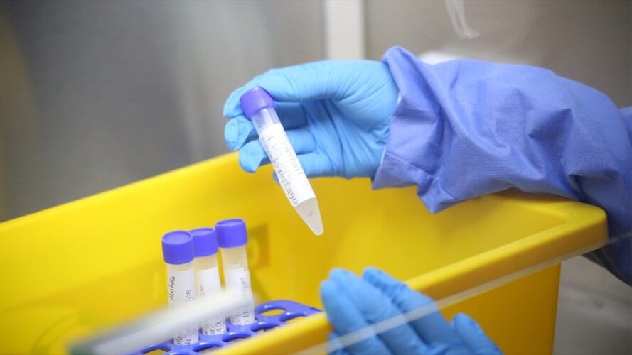 En Boyacá van 1.154 personas contagiadas, 509 recuperados y 31 fallecidos.. Foto: Gobernación de Boyacá