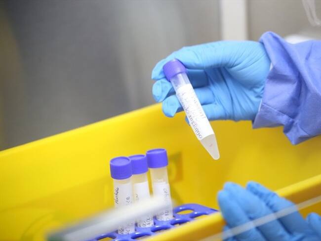 En Boyacá van 1.154 personas contagiadas, 509 recuperados y 31 fallecidos.. Foto: Gobernación de Boyacá