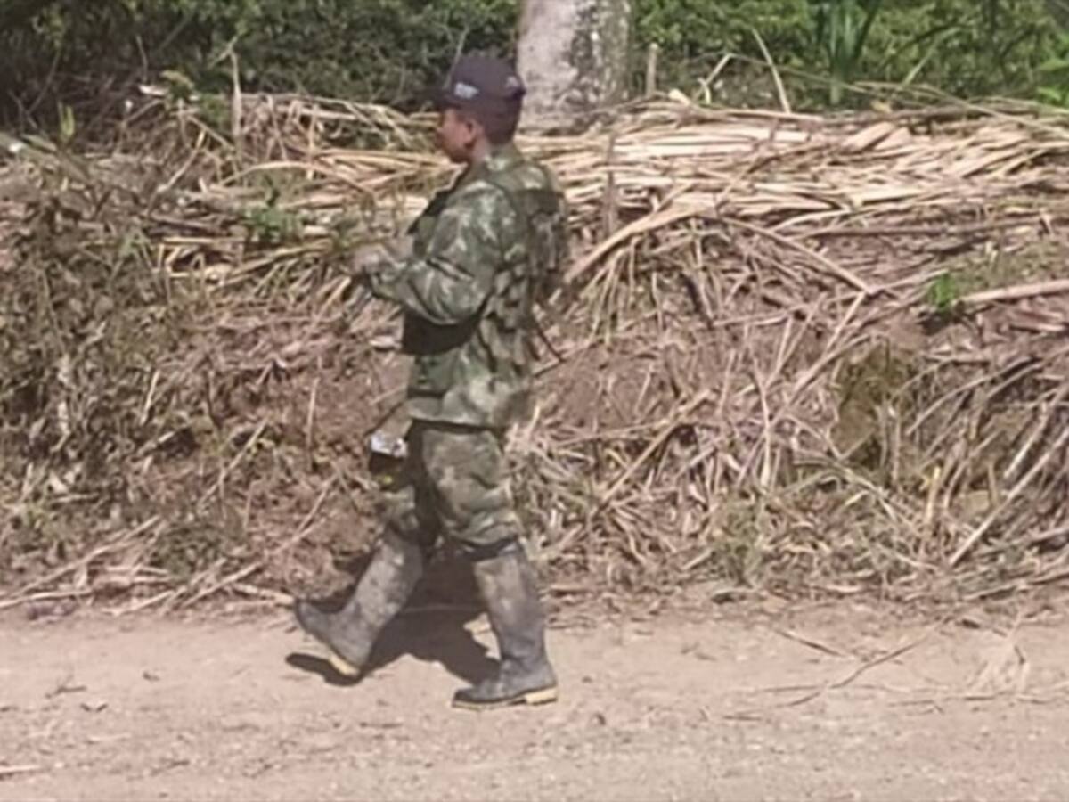 Denuncian presencia de grupos armados en zona rural de Argelia, Cauca